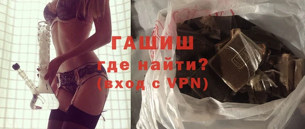 гашик Алексин