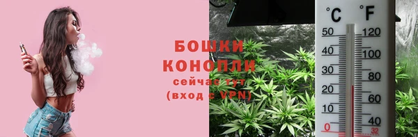 spice Алексеевка