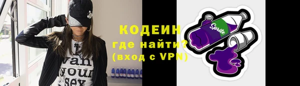 гашик Алексин