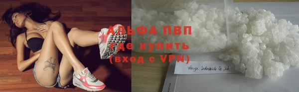 гашик Алексин
