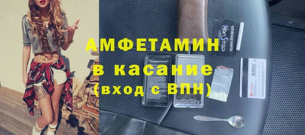 гашик Алексин