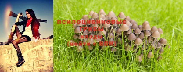 скорость mdpv Алзамай