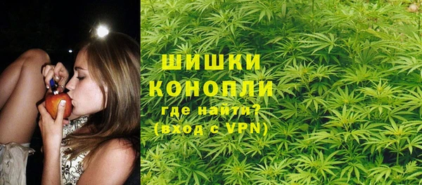 Альфа ПВП Болотное