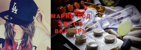 гашик Алексин