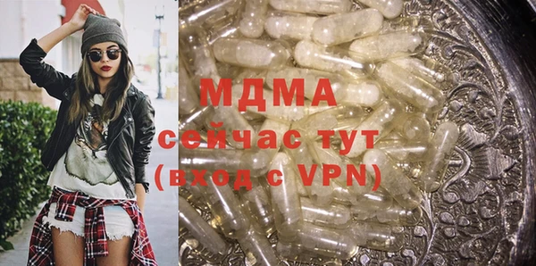 гашик Алексин