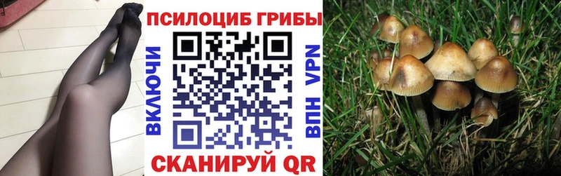 ОМГ ОМГ вход хочу наркоту Бавлы Галлюциногенные грибы Cubensis